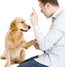 04.png